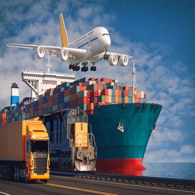 Global Sea Freight