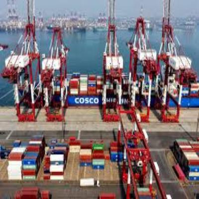 A Gulf Shipper’s Lifeline: Cosco Opens Dry Container Bookings—And Why It Matters
